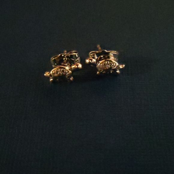 Nature bundle - Picture 2 of 6